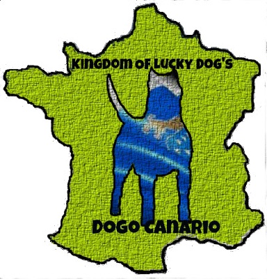 Kingdom Of Lucky Dogs
